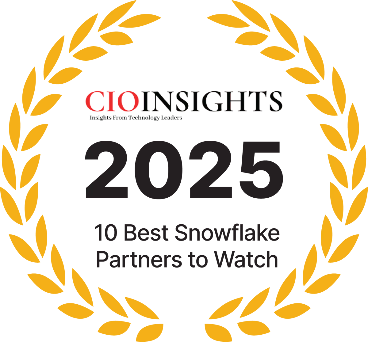 10 Best Snowflake Partners CIOInsights
